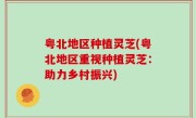 粤北地区种植灵芝(粤北地区重视种植灵芝：助力乡村振兴)