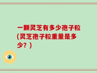 一颗灵芝有多少孢子粒(灵芝孢子粒重量是多少？)