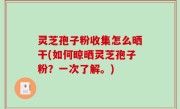 灵芝孢子粉收集怎么晒干(如何晾晒灵芝孢子粉？一次了解。)