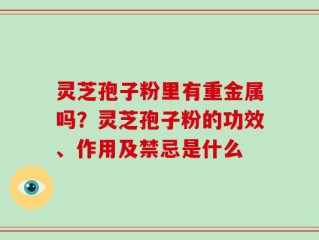 灵芝孢子粉里有重金属吗？灵芝孢子粉的功效、作用及禁忌是什么