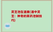 灵芝泡在酒里(酒中灵芝：神奇的草药泡制技巧)