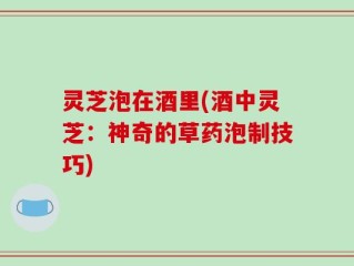 灵芝泡在酒里(酒中灵芝：神奇的草药泡制技巧)