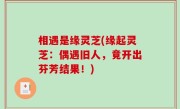 相遇是缘灵芝(缘起灵芝：偶遇旧人，竟开出芬芳结果！)
