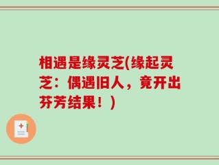 相遇是缘灵芝(缘起灵芝：偶遇旧人，竟开出芬芳结果！)