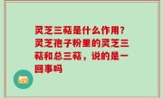 灵芝三萜是什么作用？灵芝孢子粉里的灵芝三萜和总三萜，说的是一回事吗