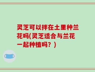 灵芝可以拌在土里种兰花吗(灵芝适合与兰花一起种植吗？)
