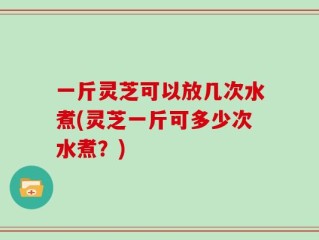 一斤灵芝可以放几次水煮(灵芝一斤可多少次水煮？)