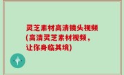 灵芝素材高清镜头视频(高清灵芝素材视频，让你身临其境)