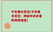 千年佛手灵芝(千年佛手灵芝：神秘中药乡里的传统瑰宝)