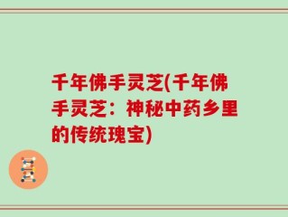 千年佛手灵芝(千年佛手灵芝：神秘中药乡里的传统瑰宝)