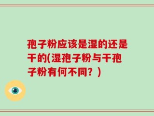 孢子粉应该是湿的还是干的(湿孢子粉与干孢子粉有何不同？)
