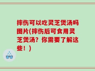 摔伤可以吃灵芝煲汤吗图片(摔伤后可食用灵芝煲汤？你需要了解这些！)