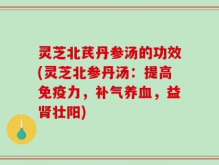 灵芝北芪丹参汤的功效(灵芝北参丹汤：提高免疫力，补气养血，益肾壮阳)