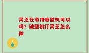 灵芝在家用破壁机可以吗？破壁机打灵芝怎么做