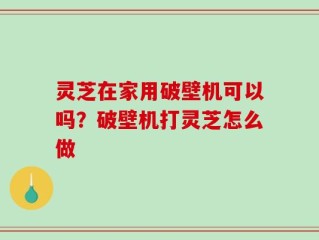 灵芝在家用破壁机可以吗？破壁机打灵芝怎么做