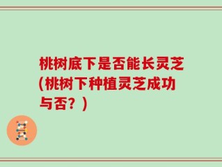 桃树底下是否能长灵芝(桃树下种植灵芝成功与否？)