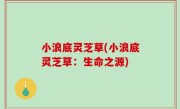 小浪底灵芝草(小浪底灵芝草：生命之源)