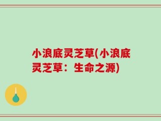 小浪底灵芝草(小浪底灵芝草：生命之源)
