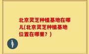 北京灵芝种植基地在哪儿(北京灵芝种植基地位置在哪里？)
