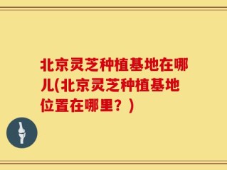 北京灵芝种植基地在哪儿(北京灵芝种植基地位置在哪里？)