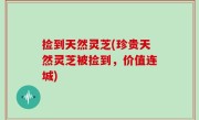 捡到天然灵芝(珍贵天然灵芝被捡到，价值连城)