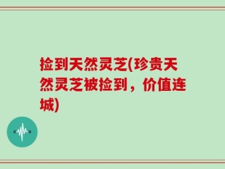 捡到天然灵芝(珍贵天然灵芝被捡到，价值连城)