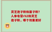 灵芝孢子粉和菌子粉？人参皂苷rh2和灵芝孢子粉，哪个效果更好