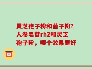 灵芝孢子粉和菌子粉？人参皂苷rh2和灵芝孢子粉，哪个效果更好