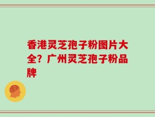 香港灵芝孢子粉图片大全？广州灵芝孢子粉品牌