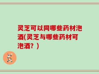 灵芝可以同哪些药材泡酒(灵芝与哪些药材可泡酒？)