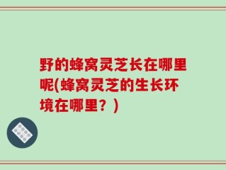 野的蜂窝灵芝长在哪里呢(蜂窝灵芝的生长环境在哪里？)