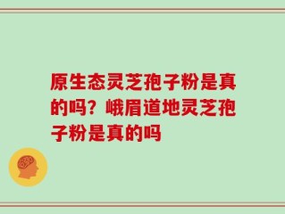 原生态灵芝孢子粉是真的吗？峨眉道地灵芝孢子粉是真的吗