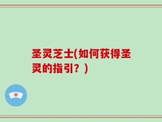圣灵芝士(如何获得圣灵的指引？)