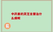 中药里的灵芝主要治什么病呢