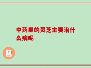 中药里的灵芝主要治什么病呢