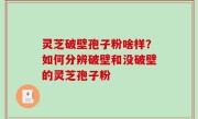 灵芝破壁孢子粉啥样？如何分辨破壁和没破壁的灵芝孢子粉