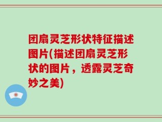团扇灵芝形状特征描述图片(描述团扇灵芝形状的图片，透露灵芝奇妙之美)