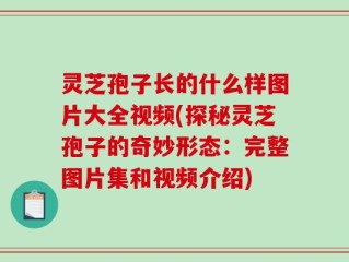 灵芝孢子长的什么样图片大全视频(探秘灵芝孢子的奇妙形态：完整图片集和视频介绍)