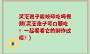 灵芝孢子能咬碎吃吗视频(灵芝孢子可口服吃！一起看看它的制作过程！)