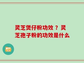 灵芝煲仔粉功效 ？灵芝孢子粉的功效是什么