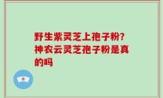 野生紫灵芝上孢子粉？神农云灵芝孢子粉是真的吗