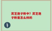 灵芝孢子粉中？灵芝孢子粉是怎么样的