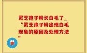 灵芝孢子粉长白毛了_“灵芝孢子粉出现白毛现象的原因及处理方法”