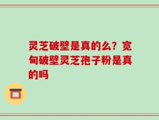 灵芝破壁是真的么？宽甸破壁灵芝孢子粉是真的吗