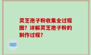 灵芝孢子粉收集全过程图？详解灵芝孢子粉的制作过程？