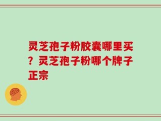 灵芝孢子粉胶囊哪里买？灵芝孢子粉哪个牌子正宗