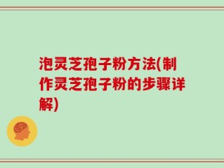 泡灵芝孢子粉方法(制作灵芝孢子粉的步骤详解)