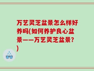 万艺灵芝盆景怎么样好养吗(如何养护良心盆景——万艺灵芝盆景？)