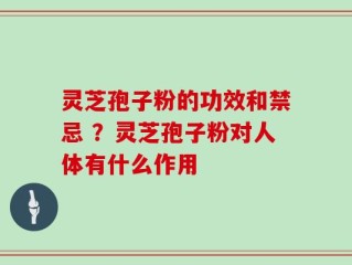 灵芝孢子粉的功效和禁忌 ？灵芝孢子粉对人体有什么作用