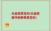 大自然灵芝片(大自然赋予的神奇灵芝片)